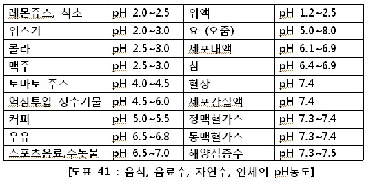 세포버거 이미지