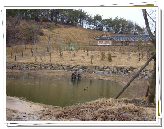 경상북도산림생태과학원 이미지
