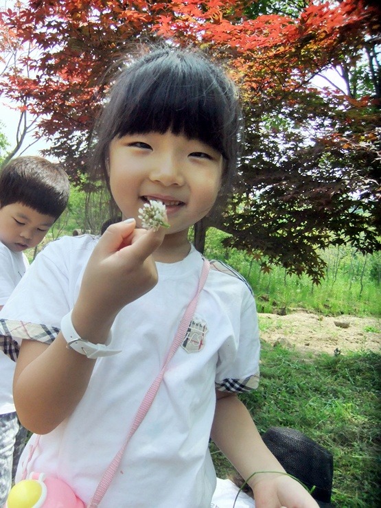 광명시청직장어린이집 이미지