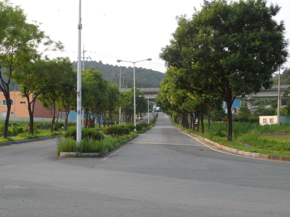 플래트 이미지