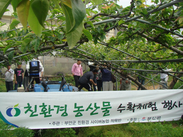 경희농장 이미지