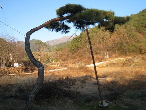 지리산농장 이미지