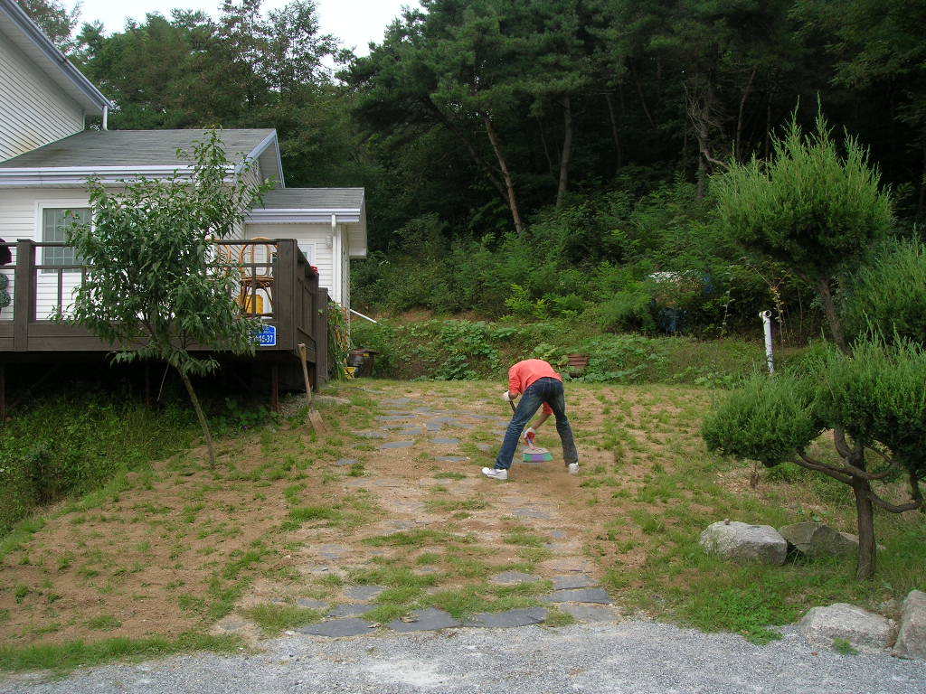 대성개발(주) 이미지