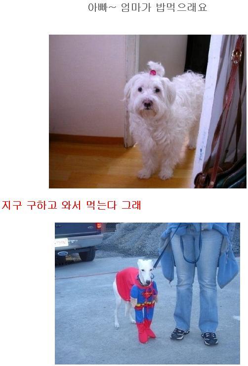 먹자 이미지