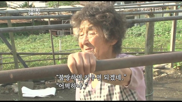 고양이 구박하는 훈할머니.JPG | 인스티즈
