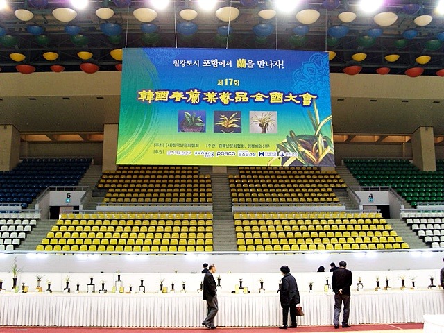 한국춘난판매 이미지
