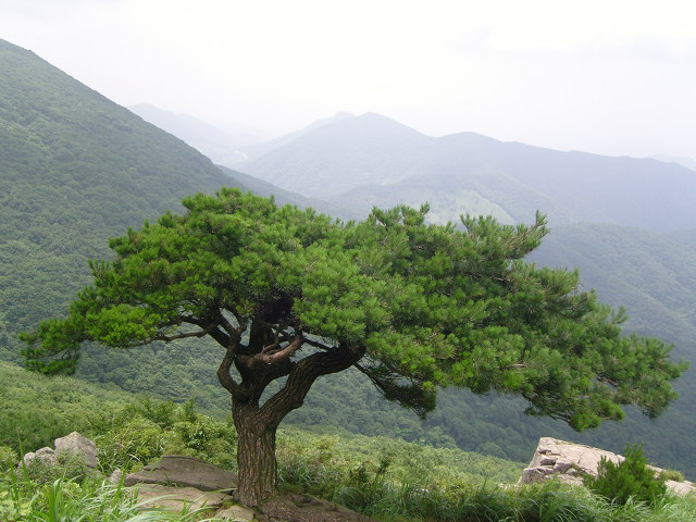 해인선원 이미지