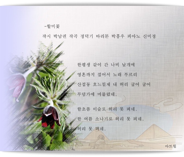 신미정 이미지