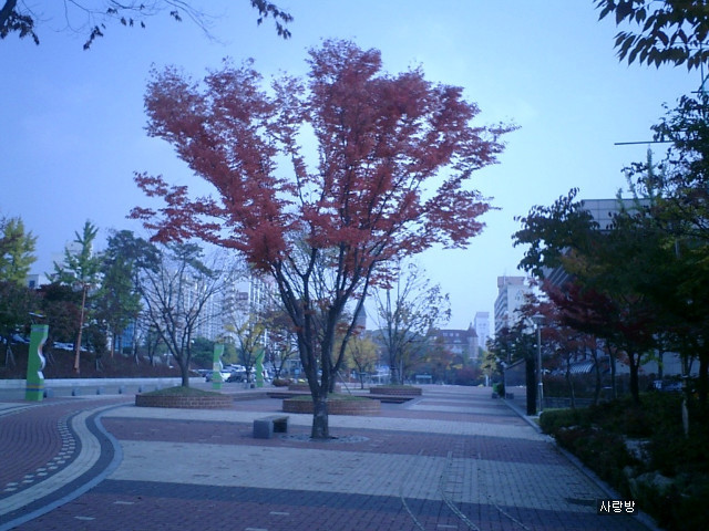 러브레타 이미지