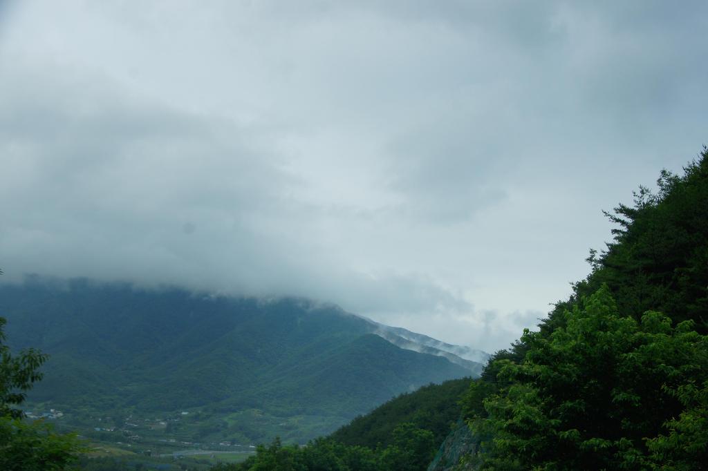 삼거리상회 이미지