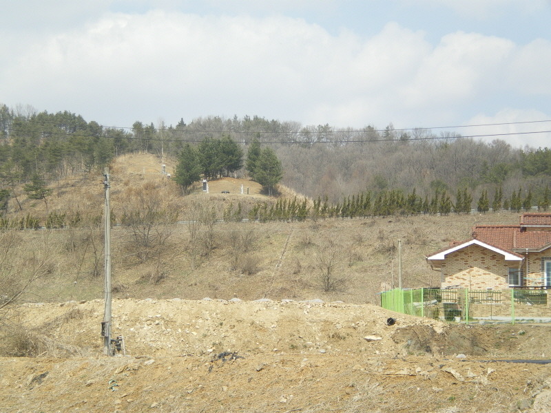 197A8E584D993669263336