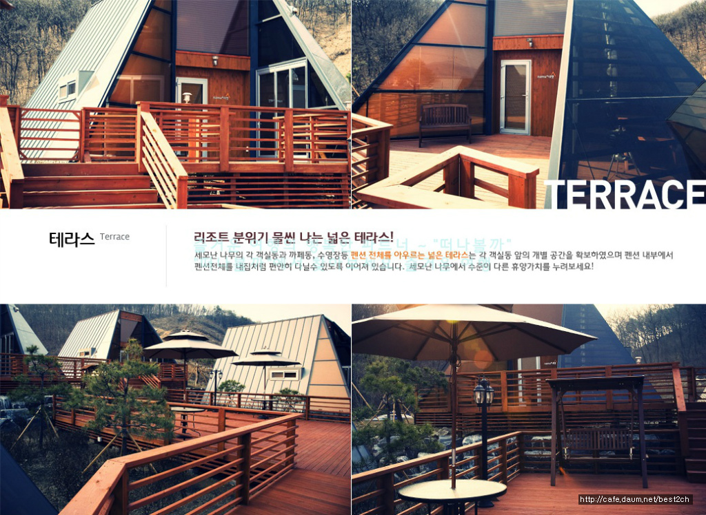 세모난나무 이미지
