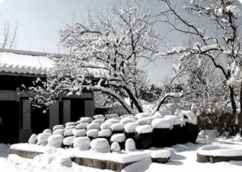 고운님 이미지