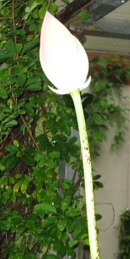 한성사 이미지