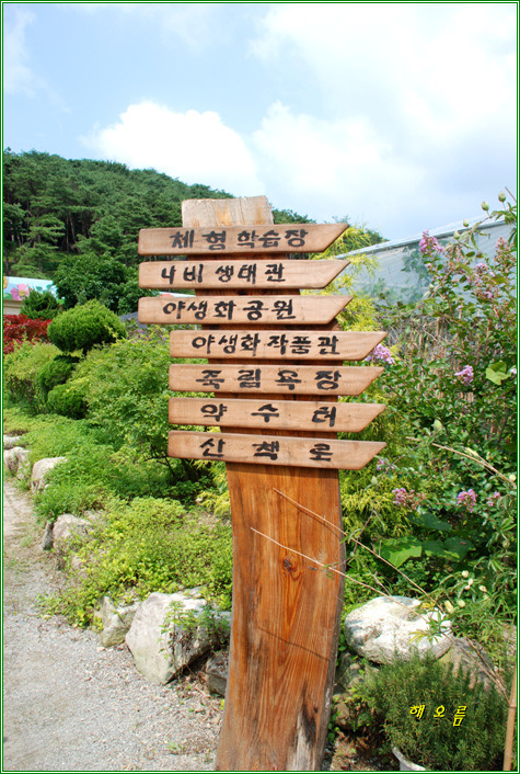 황토와 들꽃세상 이미지