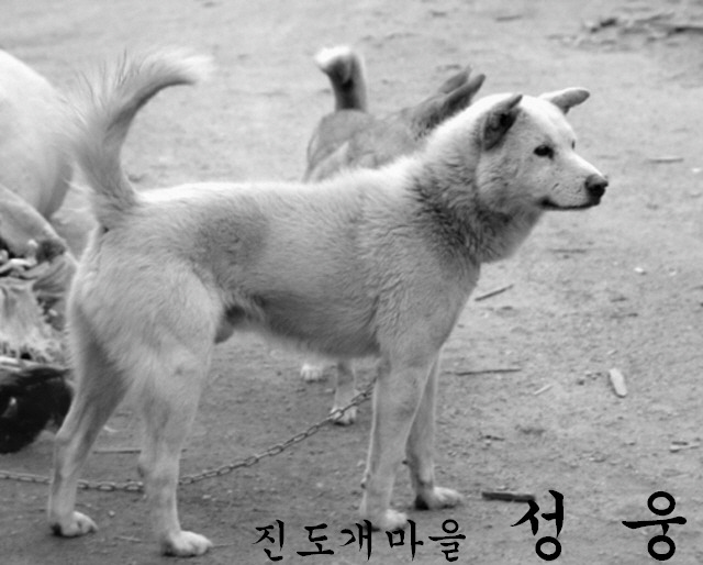성웅 이미지