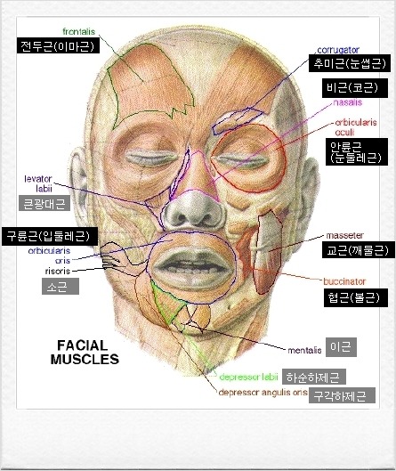 스포츠맛사지 이미지