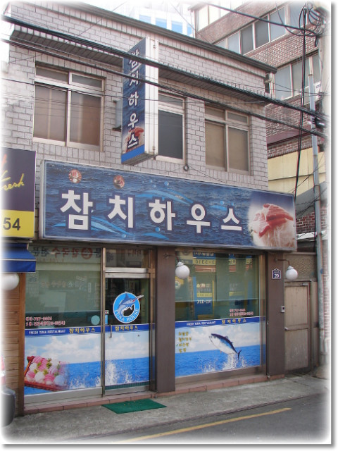 독도참치 이미지