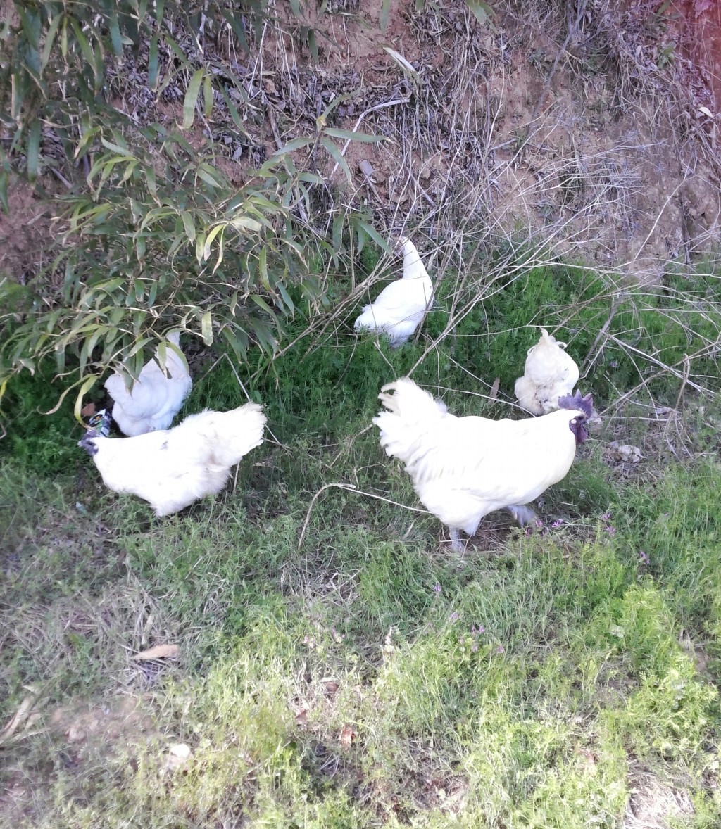 간식타임 이미지