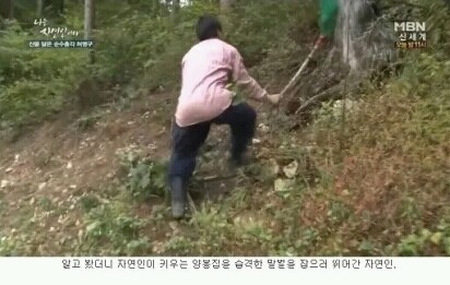 자신의 최애 연예인이 자연인이면 결혼한다 vs안한다 | 인스티즈