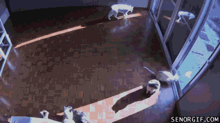 해바라기 | 인스티즈