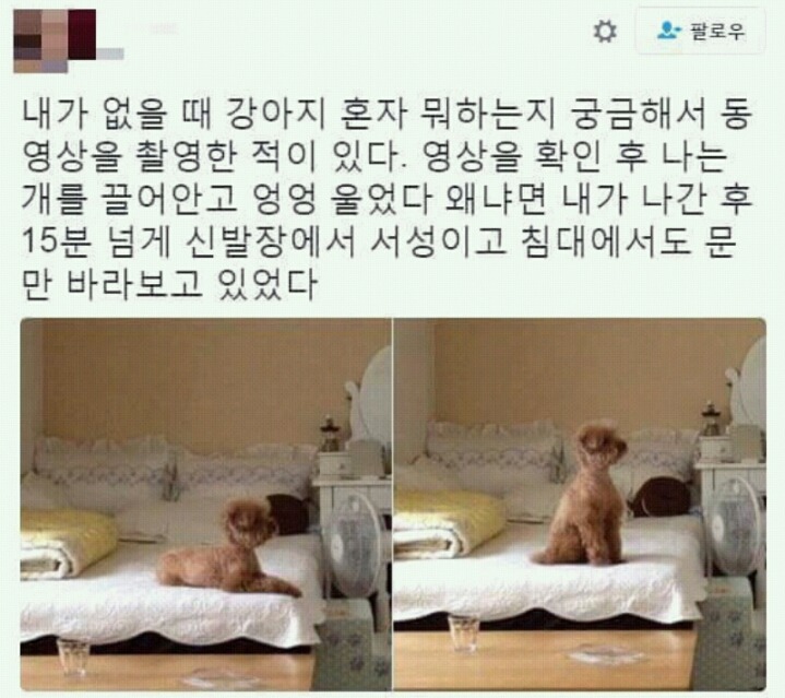 크역시! 해외에서도 인기! | 인스티즈
