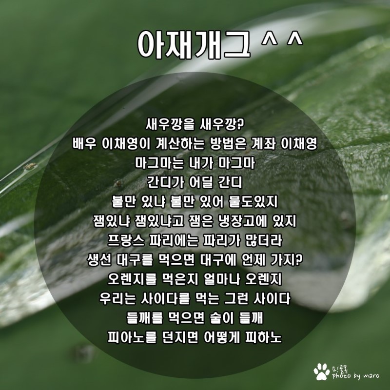 안웃기면 지상렬 | 인스티즈