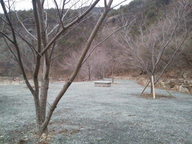 그린하우스캠핑장 이미지