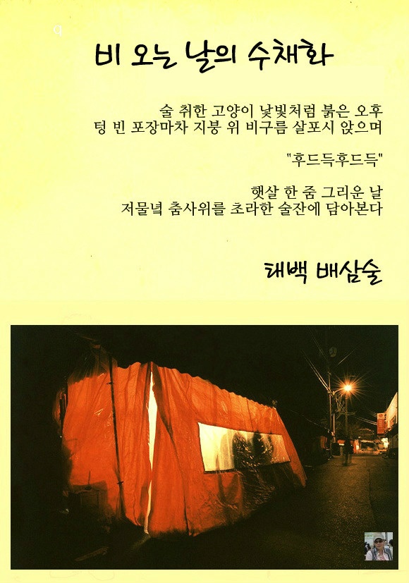 천년의아침 이미지