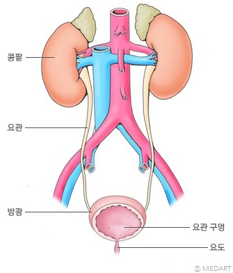 깨움 이미지