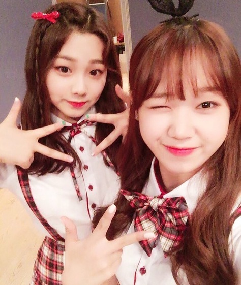 강미나 와 최유정 (아이오아이) | 인스티즈