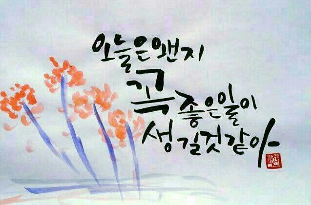 요기내 이미지