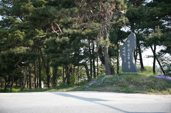 성삼이네 이미지