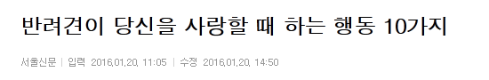 반려견이 당신을 사랑할 때 하는 행동 10가지 | 인스티즈