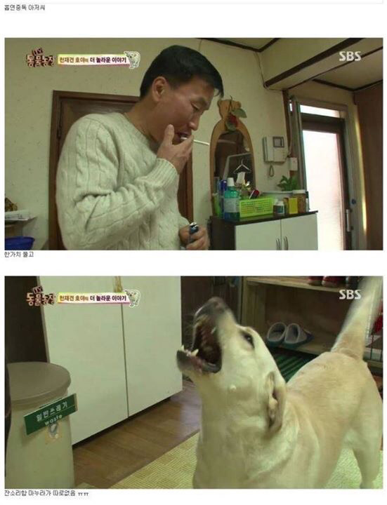 동물농장에 나온 역대급 천재 개ㄷㄷ | 인스티즈