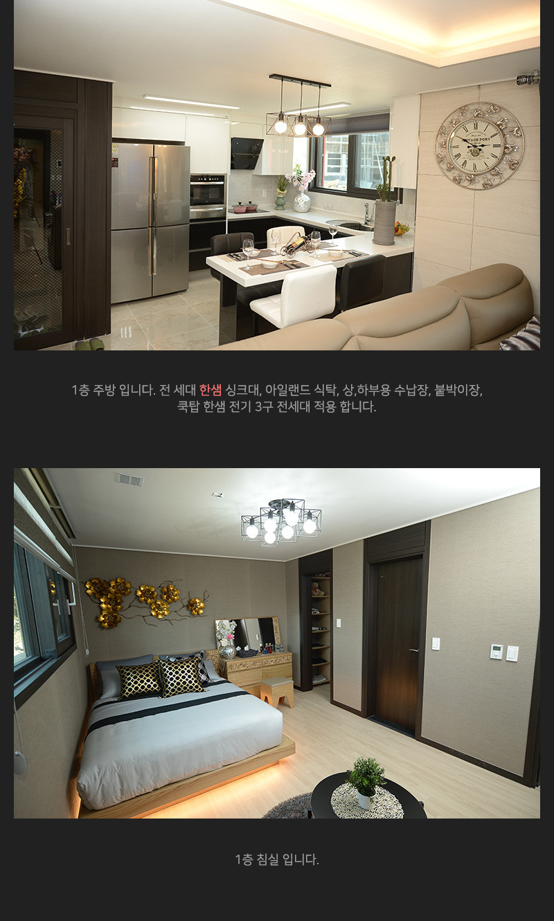 해안초 이미지