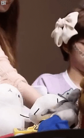 [트와이스] 사자 보고 놀란 정연.gif | 인스티즈