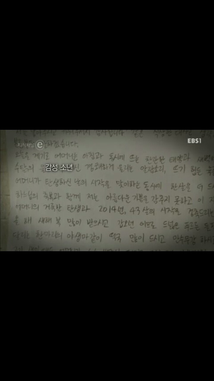 [[세월호]] [[[눈물주의]] ] 엄마, 내 친구들은 참 멋진 녀석들이에요 | 인스티즈