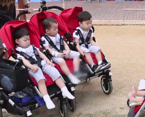 문안인사하는데도 각자 성격 나오는 삼둥이ㅋㅋㅋㅋㅋㅋ.gif | 인스티즈