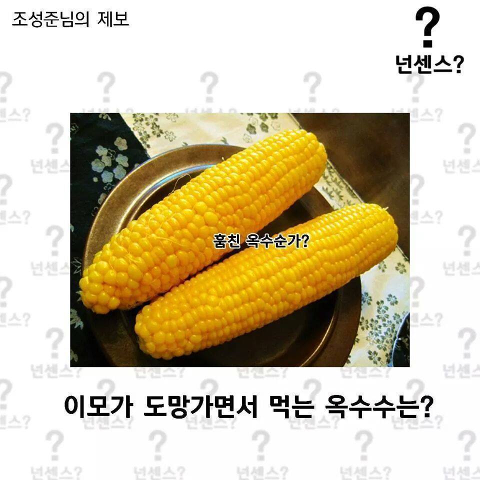 이중에 하나라도 안웃기면 한국 떠납니다 ㅋㅋㅋㅋㅋㅋㅋㅋㅋㅋㅋㅋㅋ | 인스티즈