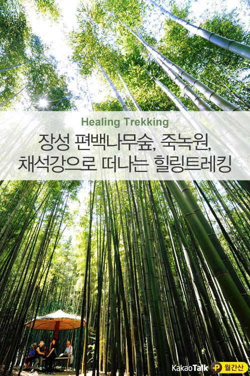 킹나무 이미지