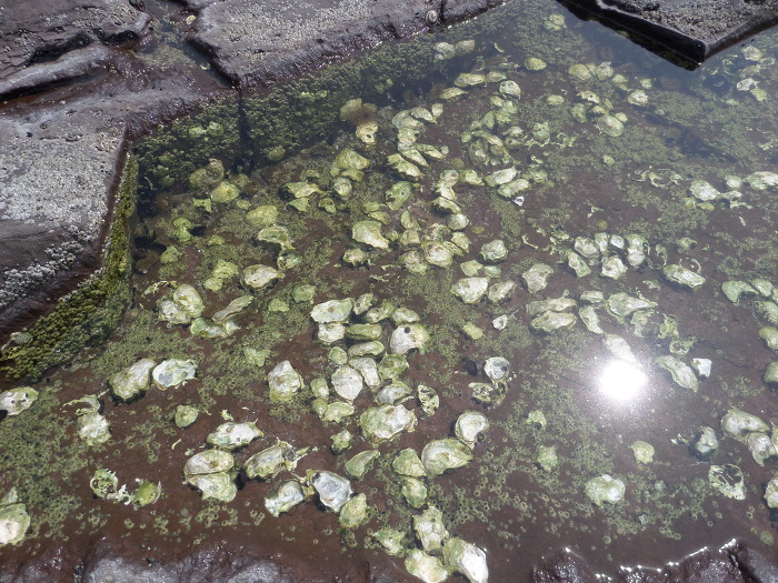 2221E13C5528932A28D5EB