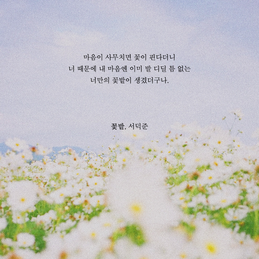 프로필사진 하기 좋은 예쁜 시 이미지 모음.jpg | 인스티즈