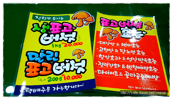 세종피오피 이미지