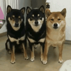 캐릭터를 선택하시오 | 인스티즈