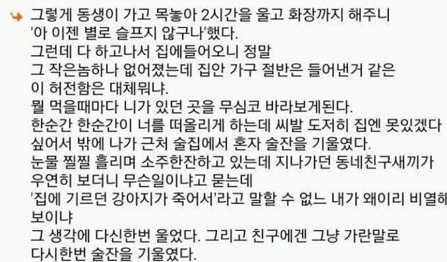 다시는 강아지 안 키운다 | 인스티즈
