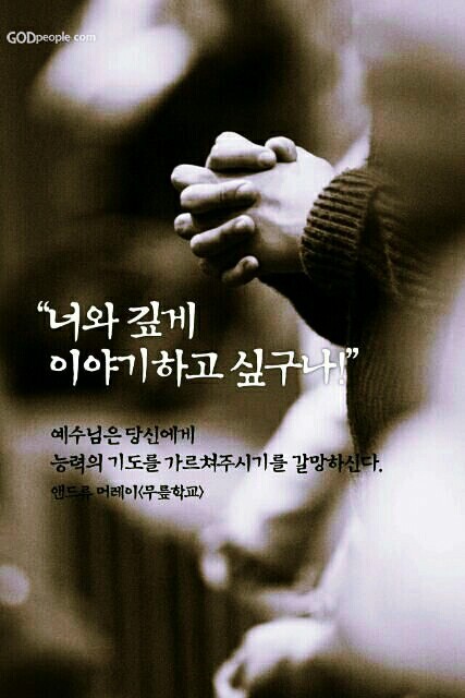 (주)새벽바다 이미지