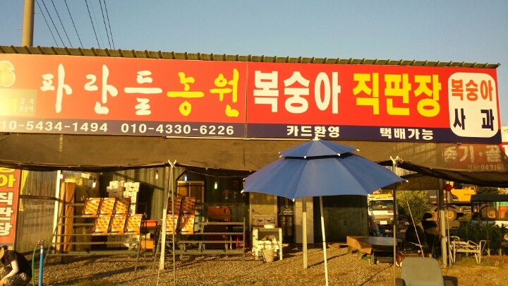 파란들농원 이미지