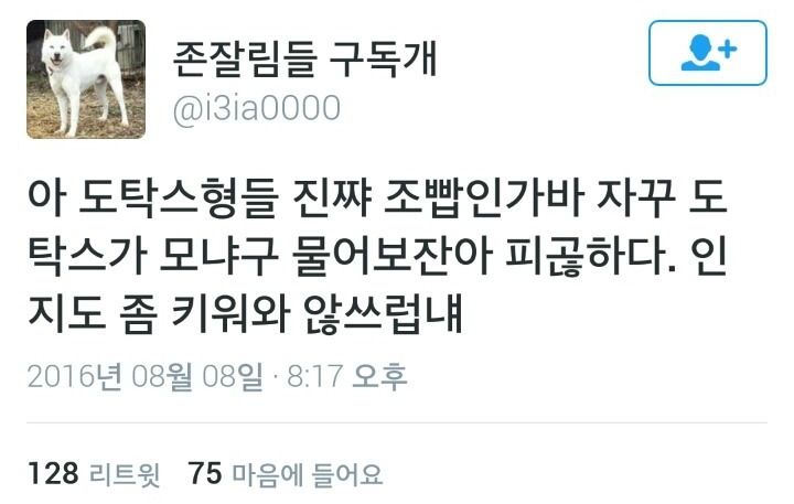 구독개의 남초싸이트 한줄평가.JPG | 인스티즈