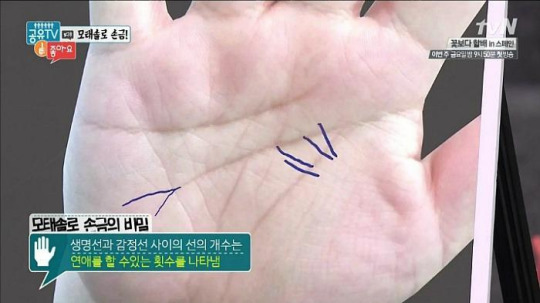 자신의 타고난 연애 횟수를 알려주는 손금? | 인스티즈